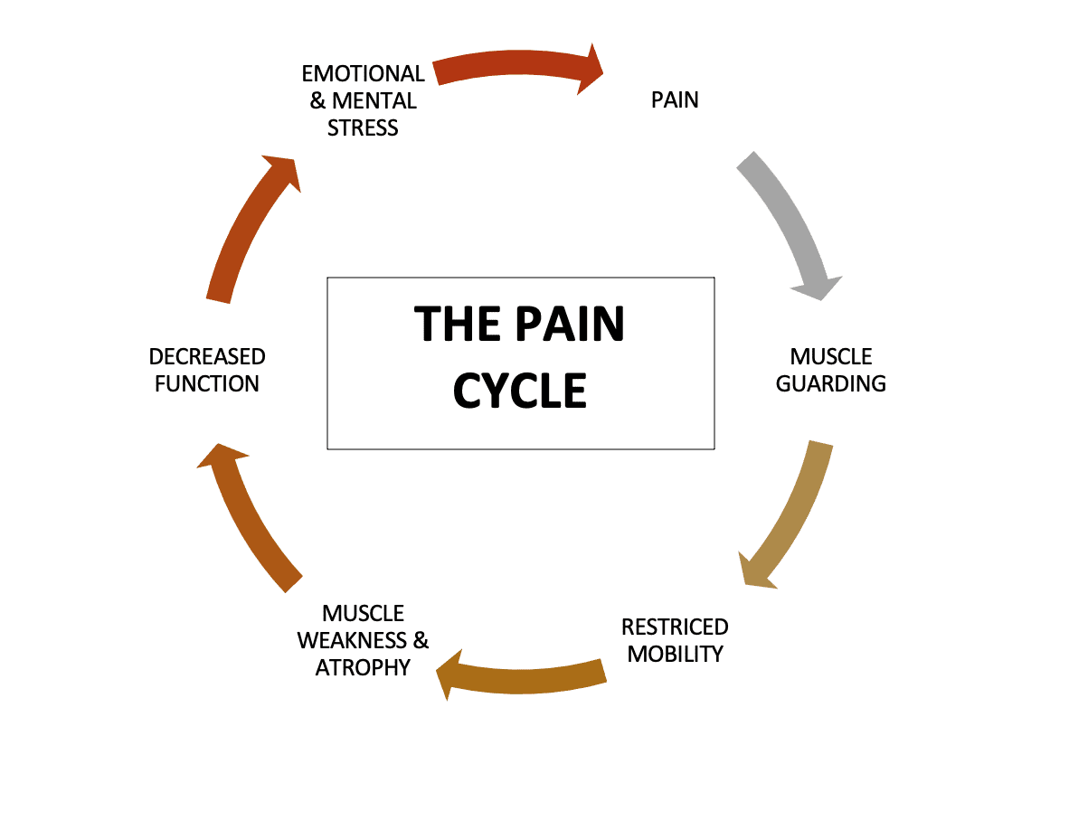 2 Diagram showing the chronic pain cycle of disc pressure leading to muscle guarding and fluid stagnation